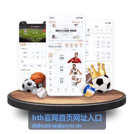 hth官网首页网址入口登录与身份校验功能示意