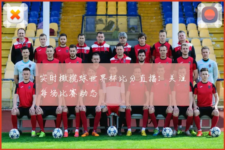 实时橄榄球世界杯比分直播：关注每场比赛动态