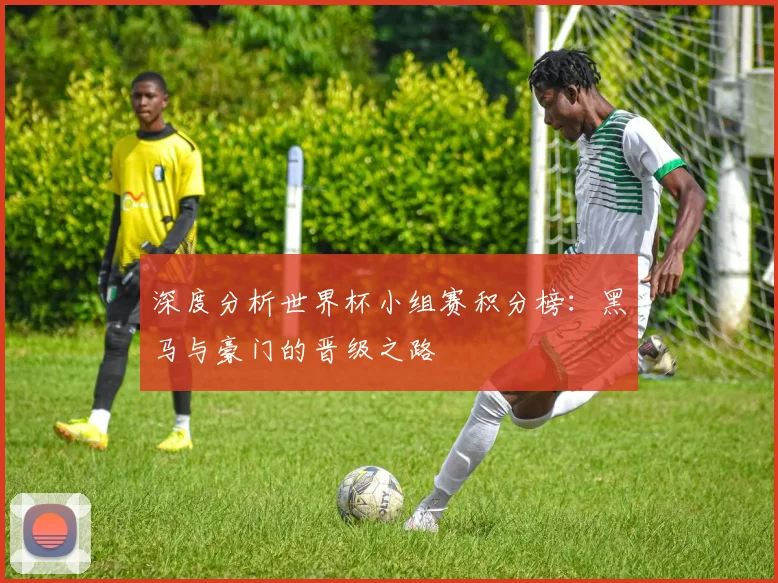 深度分析世界杯小组赛积分榜：黑马与豪门的晋级之路