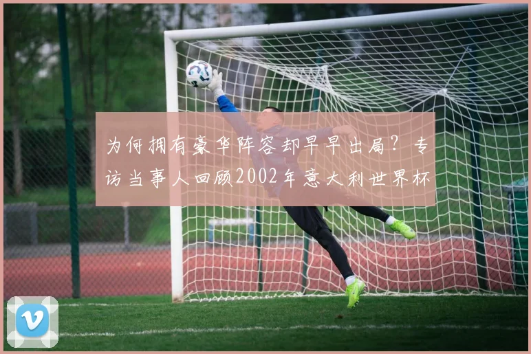 为何拥有豪华阵容却早早出局?专访当事人回顾2002年意大利世界杯之旅