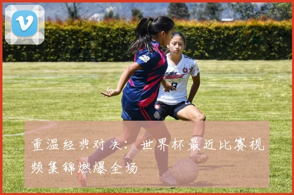 重温经典对决：世界杯最近比赛视频集锦燃爆全场