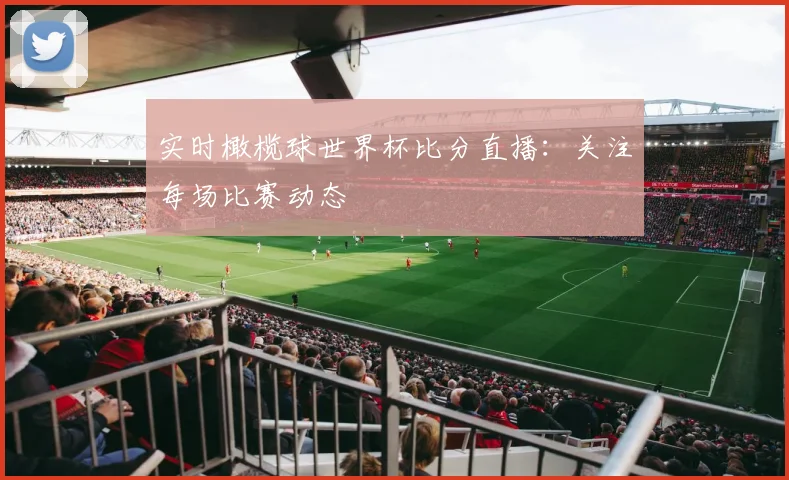 实时橄榄球世界杯比分直播：关注每场比赛动态