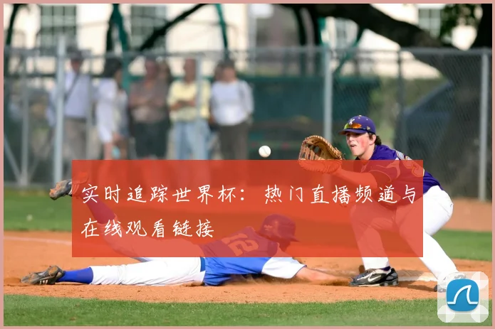 实时追踪世界杯：热门直播频道与在线观看链接
