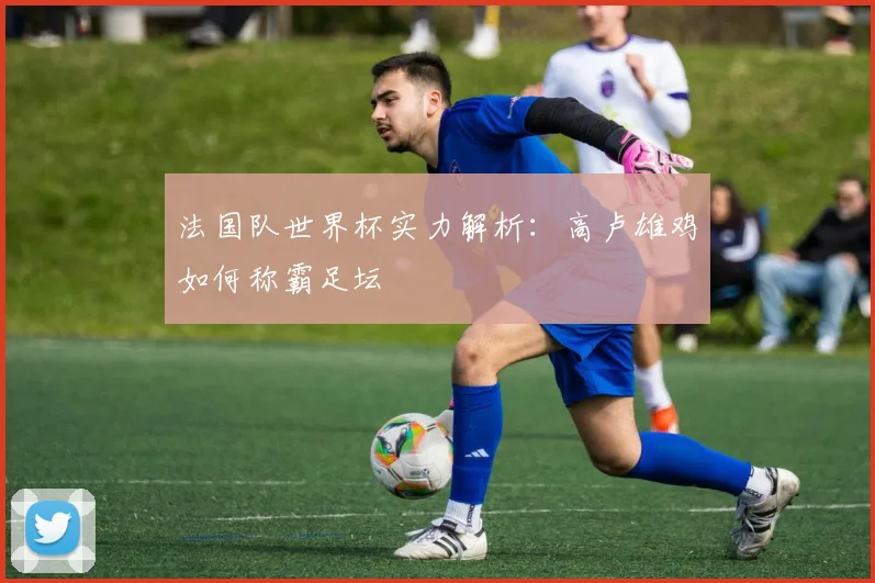 法国队世界杯实力解析：高卢雄鸡如何称霸足坛