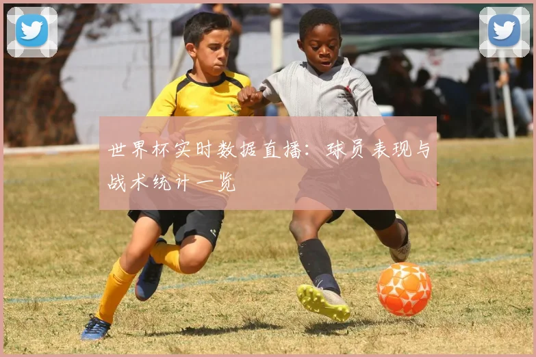 世界杯实时数据直播：球员表现与战术统计一览