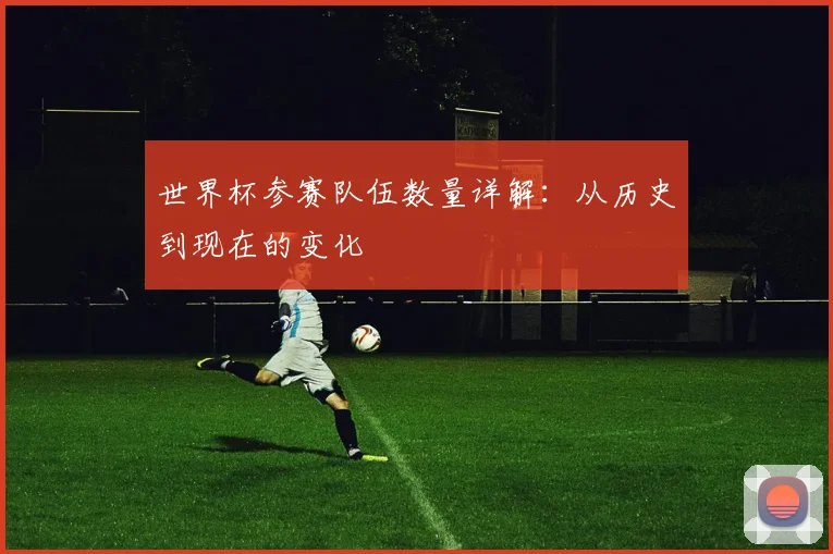 世界杯参赛队伍数量详解：从历史到现在的变化