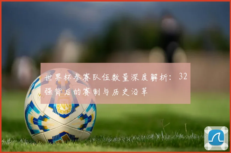 世界杯参赛队伍数量深度解析：32强背后的赛制与历史沿革