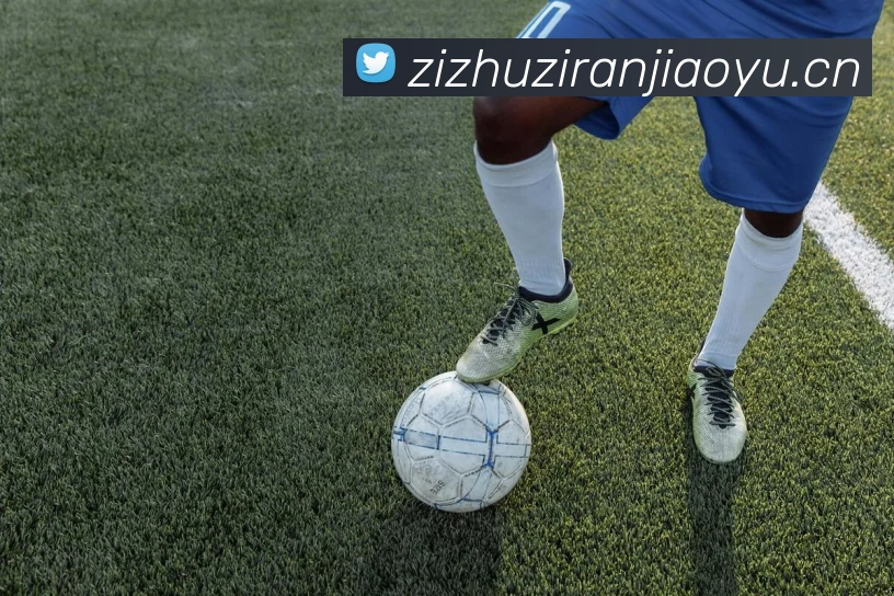 mksports在线登录入口平台生态图