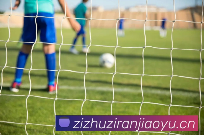 mksports在线登录入口全站App